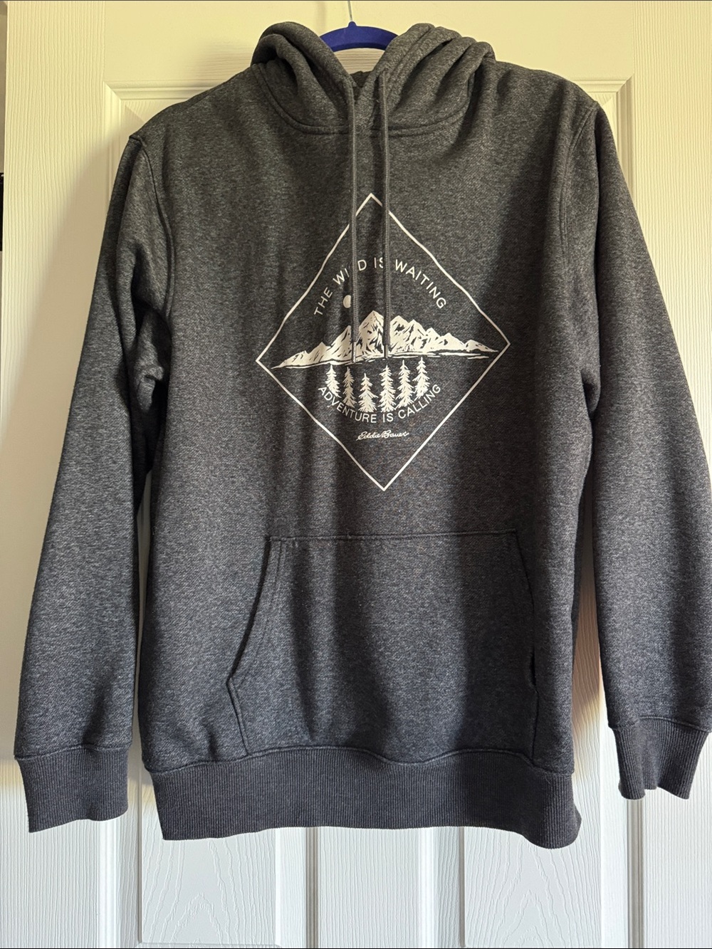 Eddie Bauer Charcoal Gray Mountain Graphic Hoodie